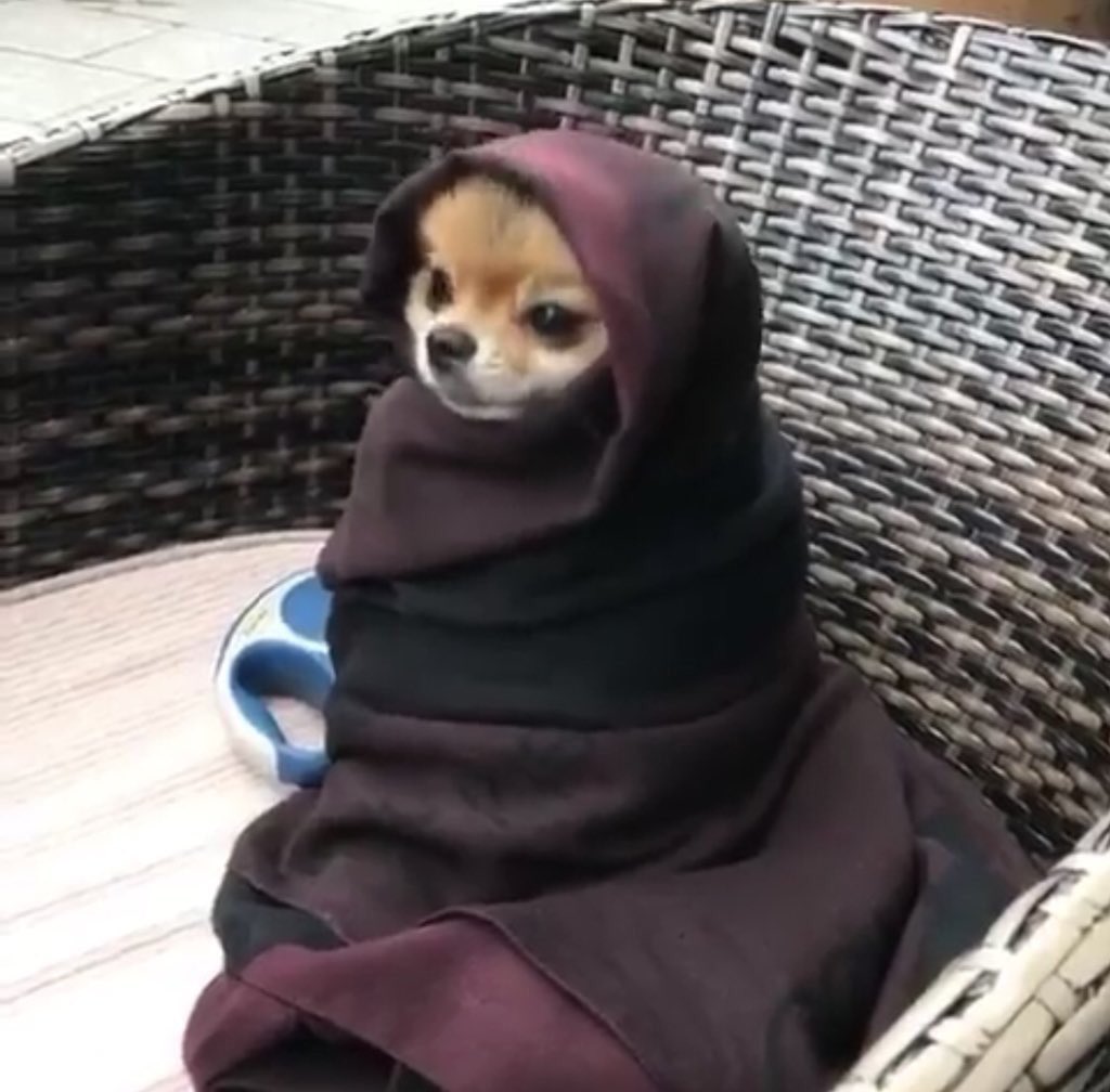 ItumelengTsapi's tweet image. we will be praying for you to get the the #PHDstep combo on your first day.