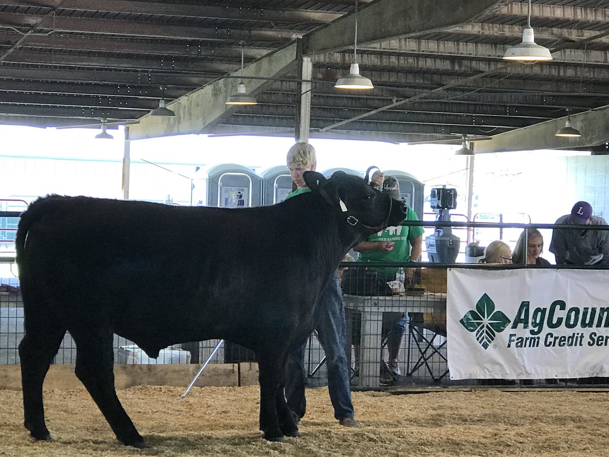 AgKellyMcD's tweet photo. Cass County @4H Achievement Days @RRVF
Reserve champion intermediate beef showmanship. #ndbeef https://t.co/IHQUDN5zXS