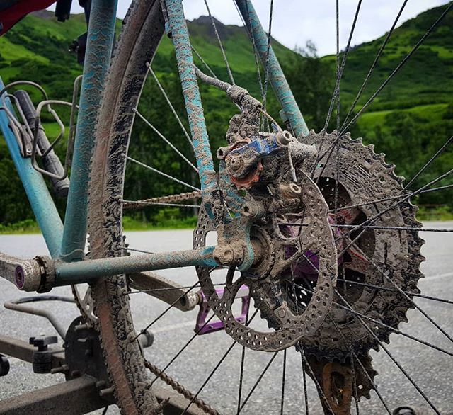 BelleEpoqueVelo's tweet image. This is karma for driving on a gravel road with a #gravelbike rather than cycling to my destination.

#paulcomponents #handbuiltbicycle #mahallbikeworks #steelisreal #GravelGrind ift.tt/2JrDmv5