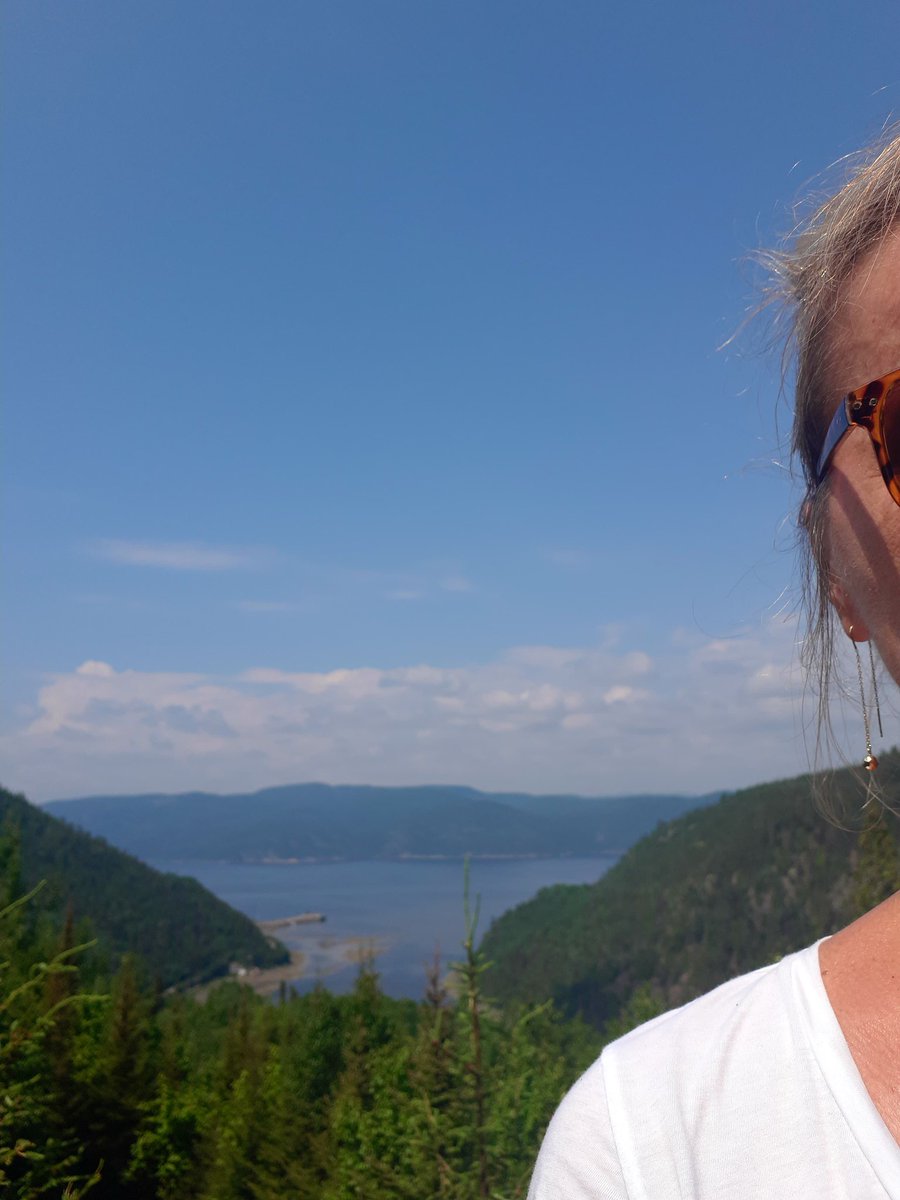 martine_fortin's tweet image. Je suis au Ciel....#MonFjord 💙