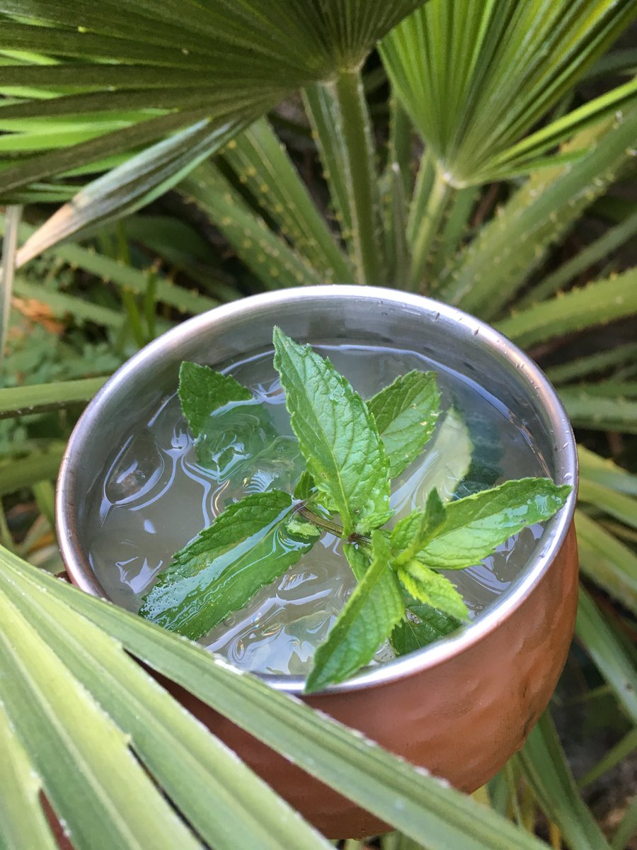 Will you be trying a Moscow Mule at Finca Poundbury (Fri 20th July &amp; Sat 21st July), 7pm to 11pm?  We’ll be publishing our final food and drink menu tomorrow. You are coming, right?