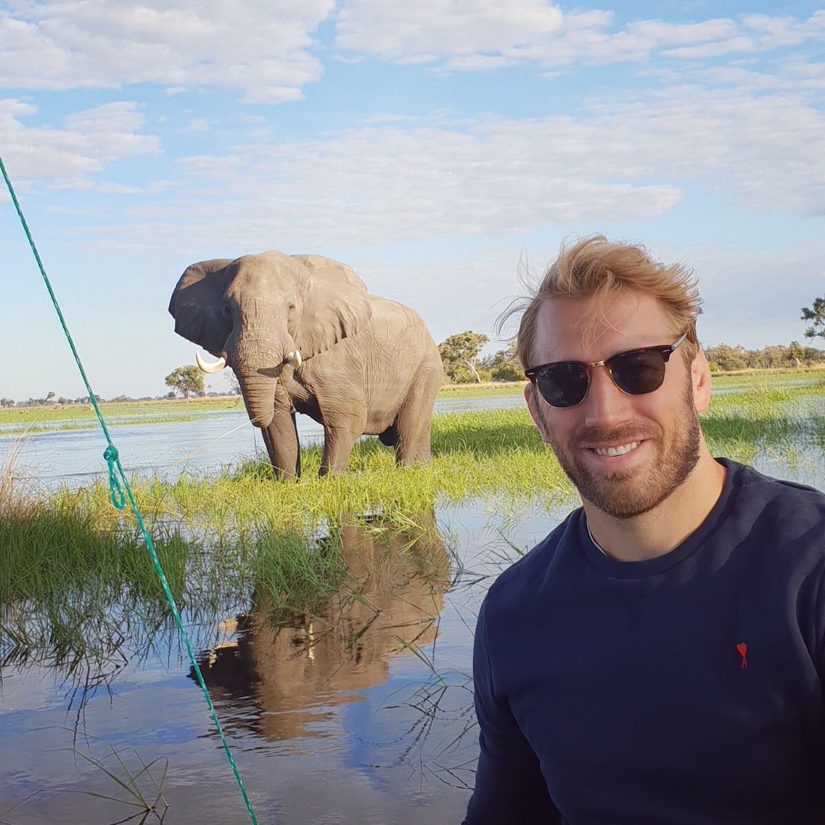 Incredible 🐘 @belmondsafaris #theartofbelmond #belmondeagleislandlodge