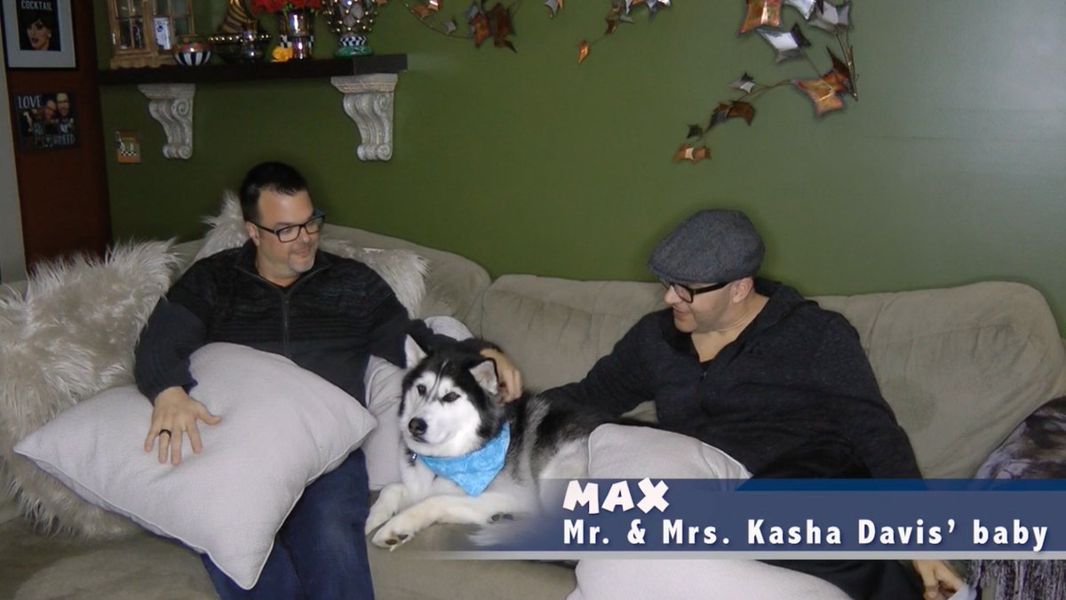 DrThembot's tweet photo. Thank you @KashaDavis for sharing how important Max is in your life on this week's #Pets4Pets. My lil @rupawl_ddq is a fab drag pup, but also has been a savior after a panic attack that landed me in the ER 4 years ago. As @DevenGreen said, pets are family. @WorldOfWonder https://t.co/27EXETty4r