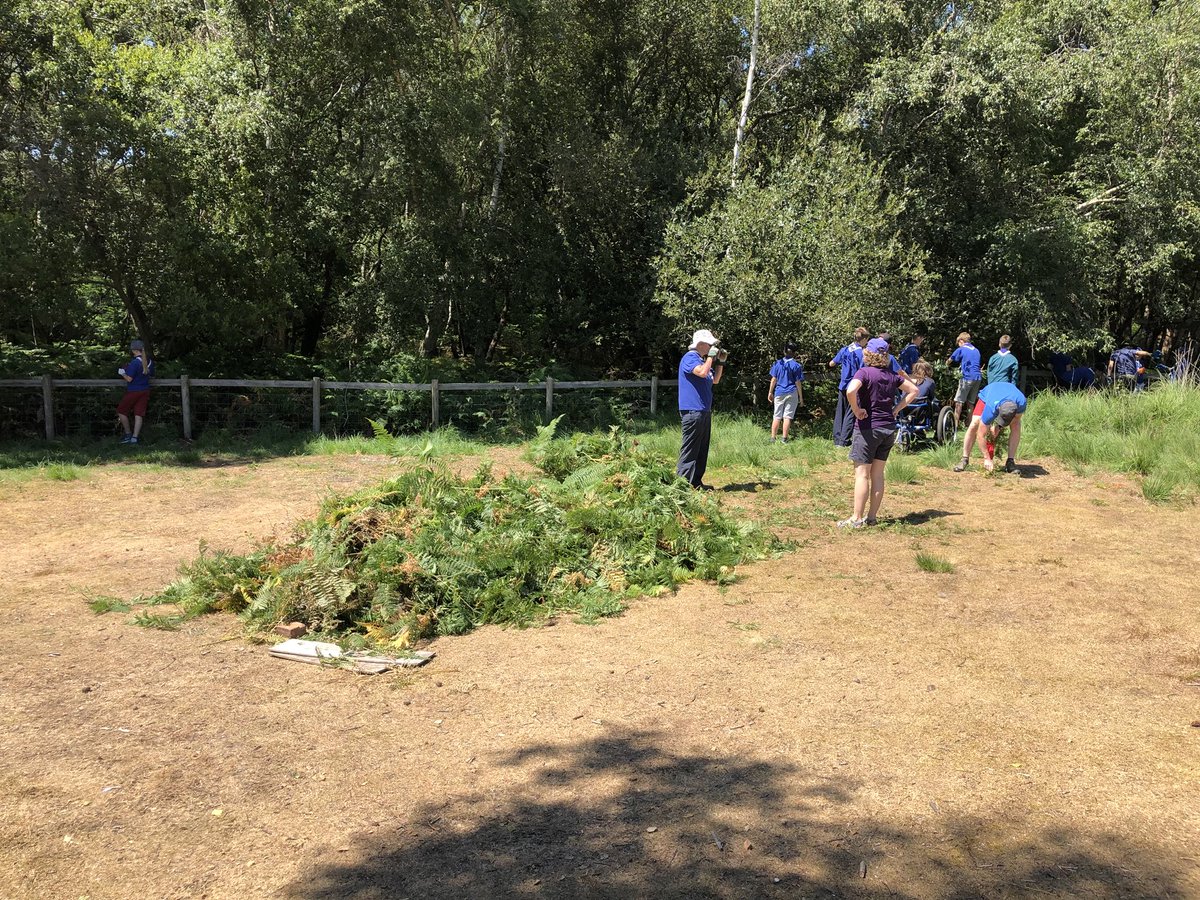 Had a great day doing some conservation work and walking around Brownsea Island today with #weymouthsouthscouts #brownseaisland #scoutinguk
