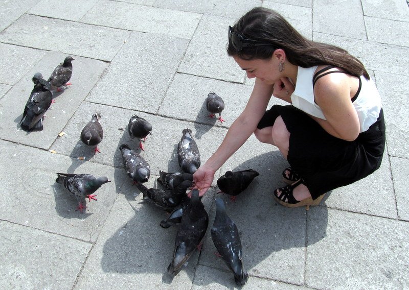 libbysk8413's tweet image. #post244 #aroundtheworldwithliz #venice #italy