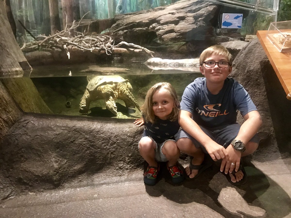 PikeArrt's tweet photo. What a great time we had at the NC Museum of Natural Science!! Great day for the boys..topped of with individually made homemade pizzas!! #trexexhibits #nccoastalfishexhibits #butterflyexhibit #fossils #dartfrogs https://t.co/SGYh0S5A62