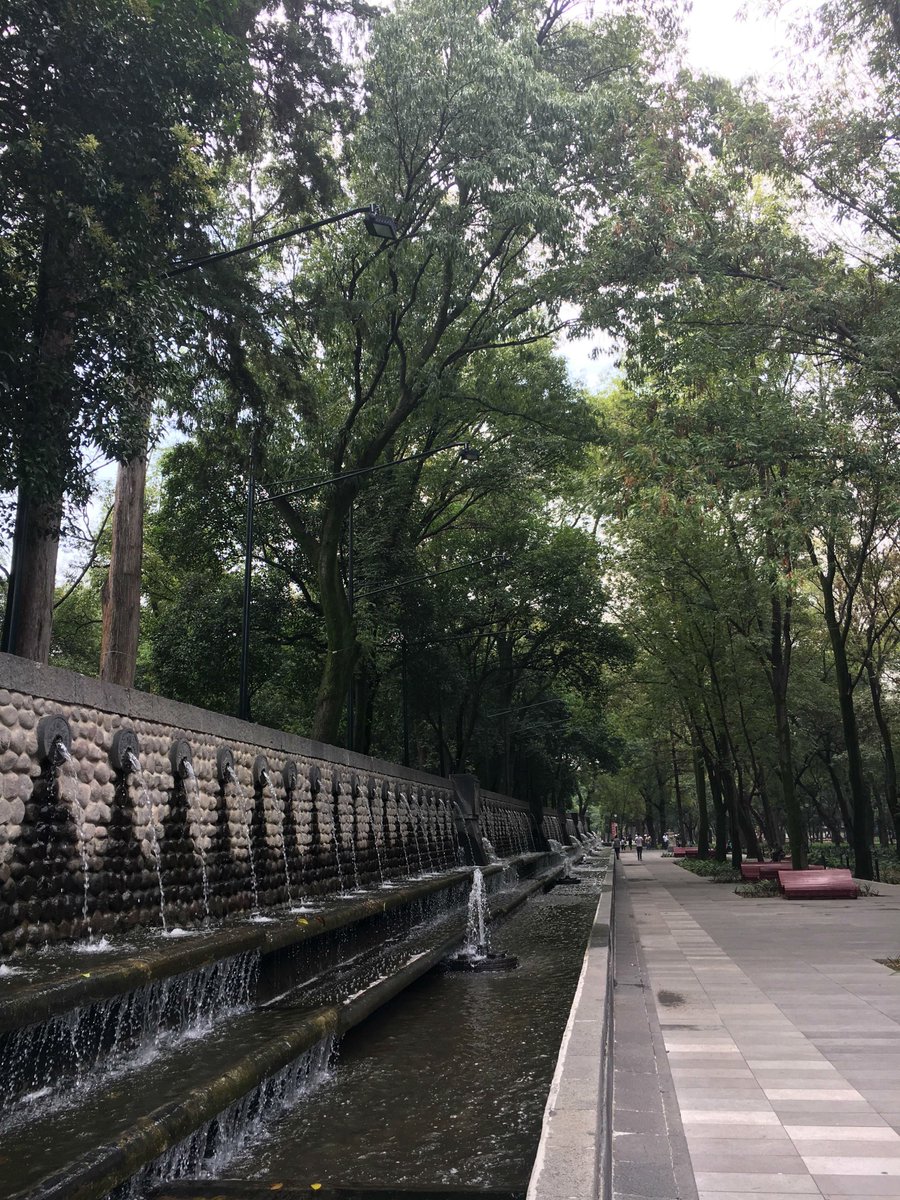 ProChapultepec's tweet photo. La fuente Nezahualcóyotl es una de las más hermosas del bosque. Cubre 1250 metros cuadrados y es obra del escultor Luis Ortiz Monasterio. Ven y comparte tus experiencias en este espacio de agua y naturaleza. #Probosquechapultepec https://t.co/qCA61wv8xW