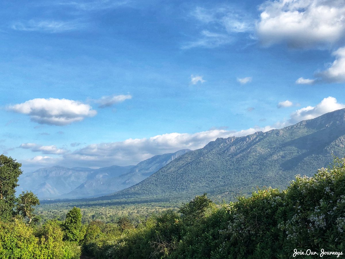 hikeatravel1's tweet photo. Picture perfect😍#Masinagudi #India #Ooty #TheJungleHut #Dreamer #Traveller #Writer #Wanderlust #JoinOurJourneys #TravelForFun #ExploreTheWorld #Holiday #Tourism #TravelPhotography #TravelBlogger #iPhone #iPhoneX #iPhonePhotography #IncredibleIndia #ExploreIndia #shotoniphone https://t.co/0gTSivTjVe