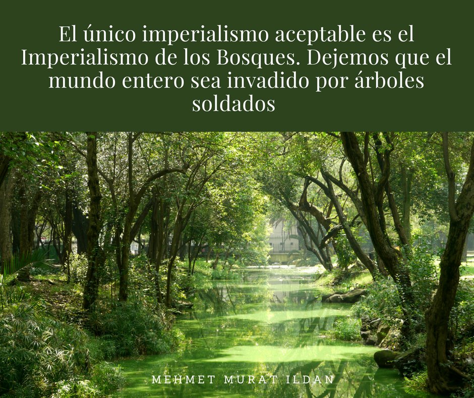 ProChapultepec's tweet photo. #Probosquechapultepec. https://t.co/S4dPDeDyJP