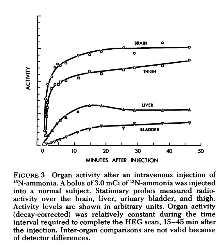 Skeletal muscle accounts for >50% of NH3 metabolism in healthy people, even more in patients with cirrhosis. Lockwood followed radiolabelled NH3 to the muscle (JCI 1979;63); Olde-Damink confirmed the role of muscle in many cool studies (e.g. Hepatology. 2002;36:1163)