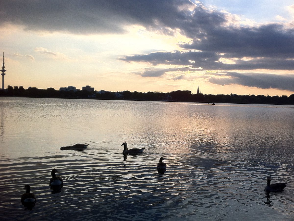 peac4love's tweet photo. 💐🍸🎶🌈#hamburg today / #summer🌸🌻 #sunset 🌄🌇#Geese🎶🌈🌸💜❤🌼💛   🌸🏕🌤💖☮✨☮peace☮✨💖✨love💖 ✨ No war!🌎🌳🚴‍♀️🏕🏔🍀🌱🥀🌷🌼🌻 https://t.co/G8bdILSxyD