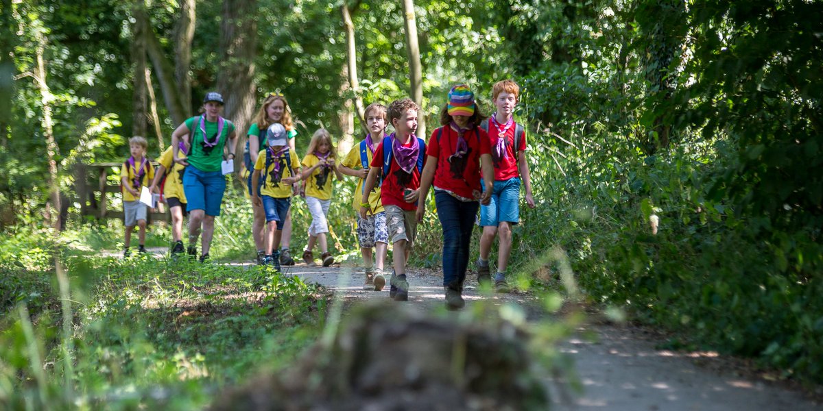 RCG Welpen tweet media