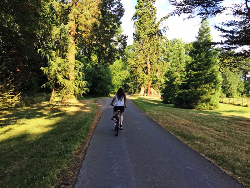 JaneImaginari's tweet photo. I went on a lovely two-hour bike ride with my daughter this morning, followed by a walk with our dogs.
@ErddigNT @WoodlandTrust #PlasPower https://t.co/LXyg1QNbuu