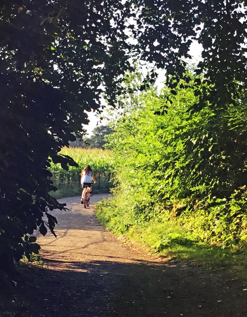 JaneImaginari's tweet photo. I went on a lovely two-hour bike ride with my daughter this morning, followed by a walk with our dogs.
@ErddigNT @WoodlandTrust #PlasPower https://t.co/LXyg1QNbuu