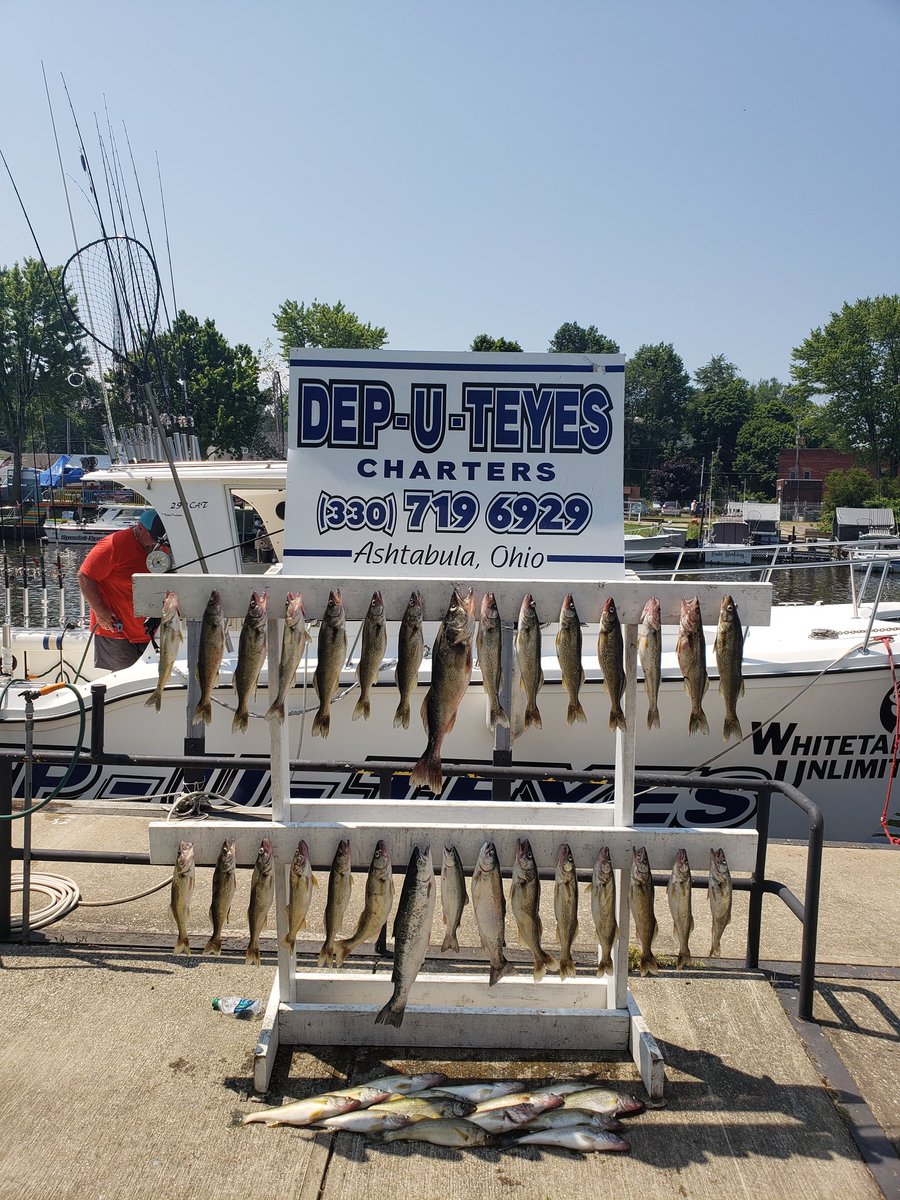 tmartino29's tweet photo. It was a great day fishing on lake erie with mob squad fishing.  #lakeerie #walleye #steelhead #sundayfunday #rulethewater #rippinglips #mobsquadfishing https://t.co/GDA062PQ8w