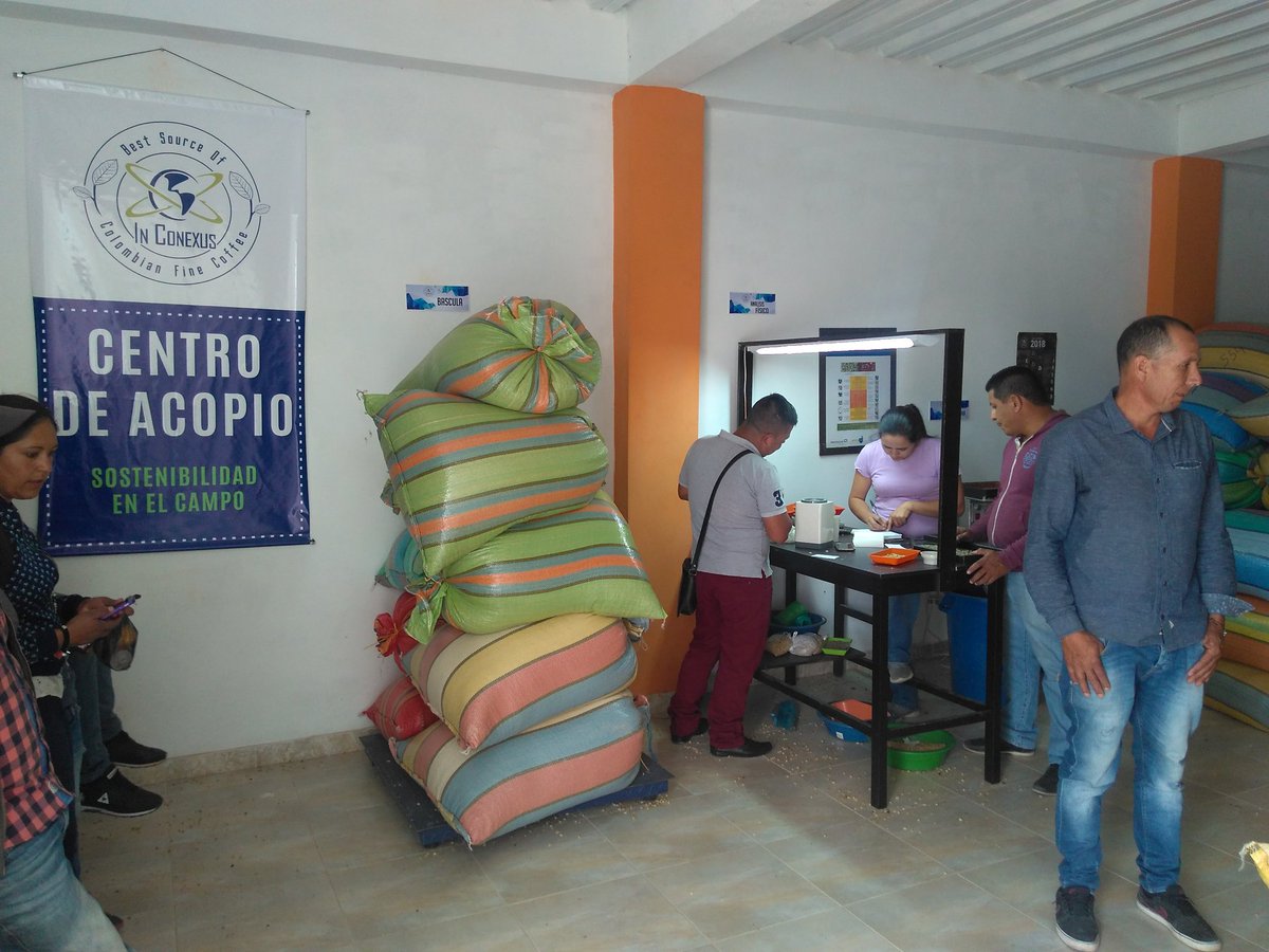 pedroleonhenao's tweet image. Centro de acopio de @inconexuscoffee ,cosecha Nariño en marcha. Atento @Intelligentsia #CoffeeAddict #coffeeholic