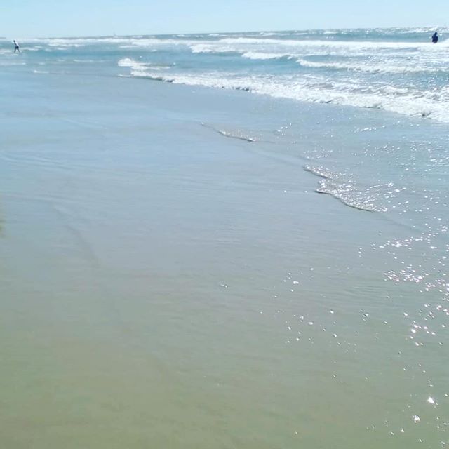 strandMINblick's tweet photo. #düne #dünen #vejersstrand🇩🇰 #vejersstrand #vejers #dänemark #dänemark🇩🇰 #dänemarkliebe #danemark🇩🇰 #denmark #danemark #urlauben #ferienhaus #strandvilla https://t.co/cUj5PRKKJz https://t.co/4ZTBFxxUC8 https://t.co/gVx0anVqja https://t.co/3ZlrttKcJD 📷: @strand_blick.de https://t.co/klCLxdxOsN