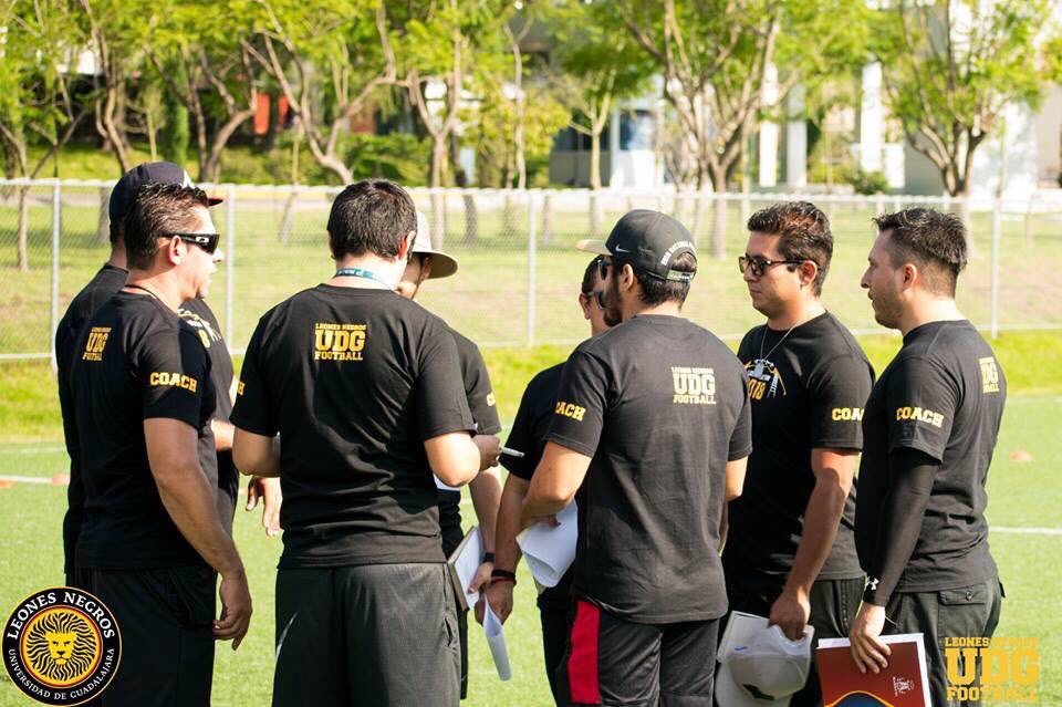 LEONES NEGROS tweet media
