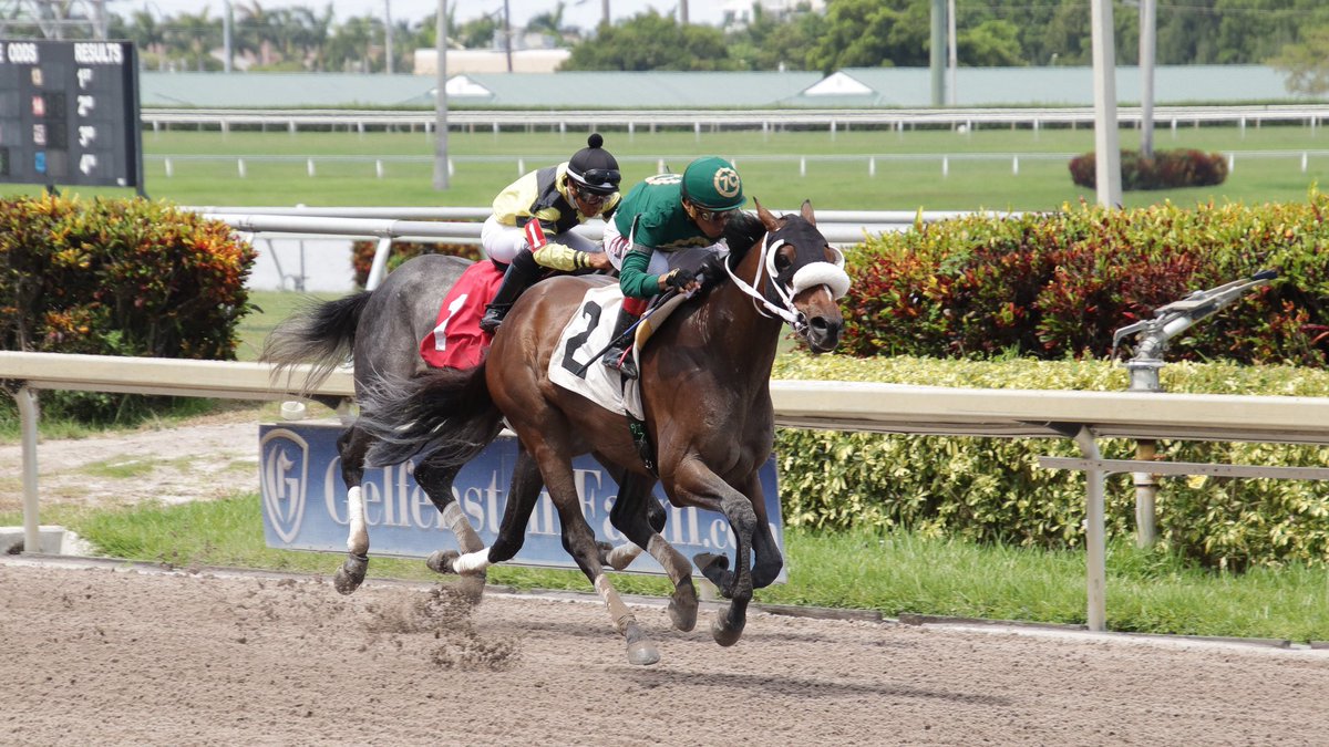 Con el de LITTLE TOE ya son 26 victorias para las sedas del <a href="/G7cRacing/">Grupo7CRacing Stable</a> este año en el hipismo norteamericano. Se dice fácil...