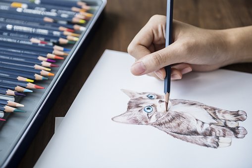 A person can learn to draw by using styli and paper – using feel to see their drawing – opposed to sight.  Check out how Touch Graphics has made this possible: goo.gl/GU51jq