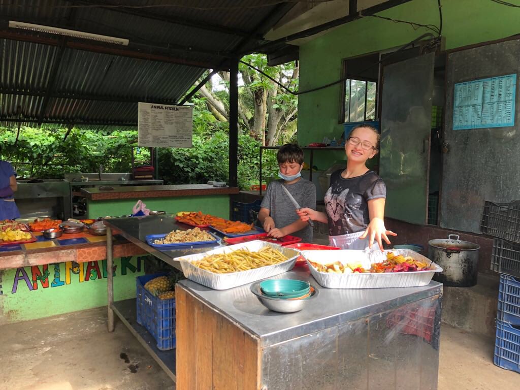 Volunteertours1's tweet photo. Taking care of the animals requires major kitchen skills. our little chefs at the Rescue Center today.They cleaned, cut and prepared the food for over more than 50 animals
#familyvacation #proudmom #letkidsbekids #noiphonesunday #travel #volunteer #havefun #makeadifference https://t.co/0ckiWAgSec