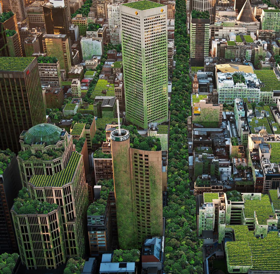 c40cities's tweet photo. Green roofs cool our cities from the top down. See how #Melbourne is transforming its rooftops. https://t.co/VbqSyjiNeg  #CoolCities ✅ https://t.co/XK7fiqJsaS