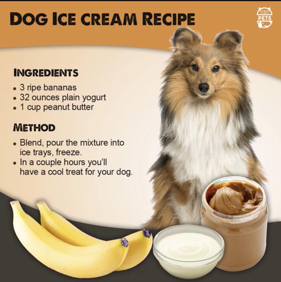 LAPassion4Pets's tweet photo. #LosAngeles #SundayFunday #LA #WestCoast #DTLA #SoCal #Dog #Puppy #Dogs #Puppies #PuppyLove https://t.co/a1CIBgKBF6