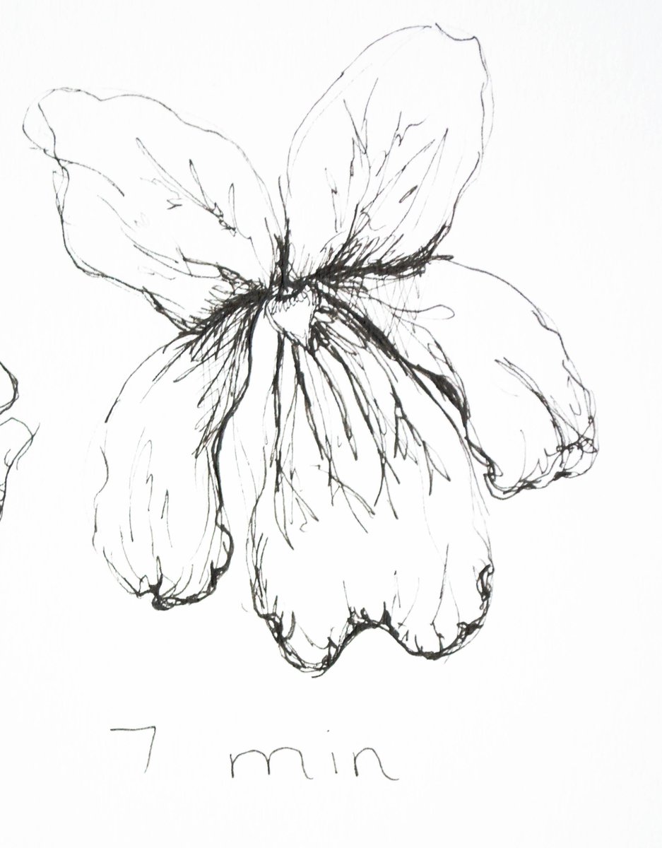 mwillettartist's tweet photo. Seven minute floral drawing!
Me? Drawing FLOWERS? Big shock :)
#sevenminutes #7minutes #Timedart #Sketch #Drawing #Micron #Flower #Flowers #Flora #Floral #artovertime https://t.co/ZObIo03DRU