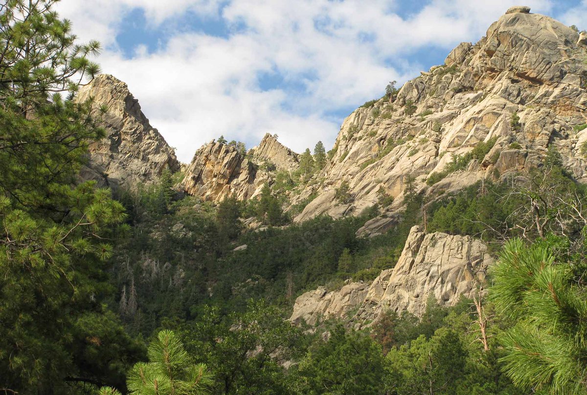 RoadCEO's tweet photo. A hidden gem, mountains, green lush forest.... Hualapai Mountain Park, AZ, just a quick hop from Kingman. Great for a night or two of camping or even a day trip from Las Vegas. https://t.co/vrxQEFwQRC https://t.co/lvL4JNUfja