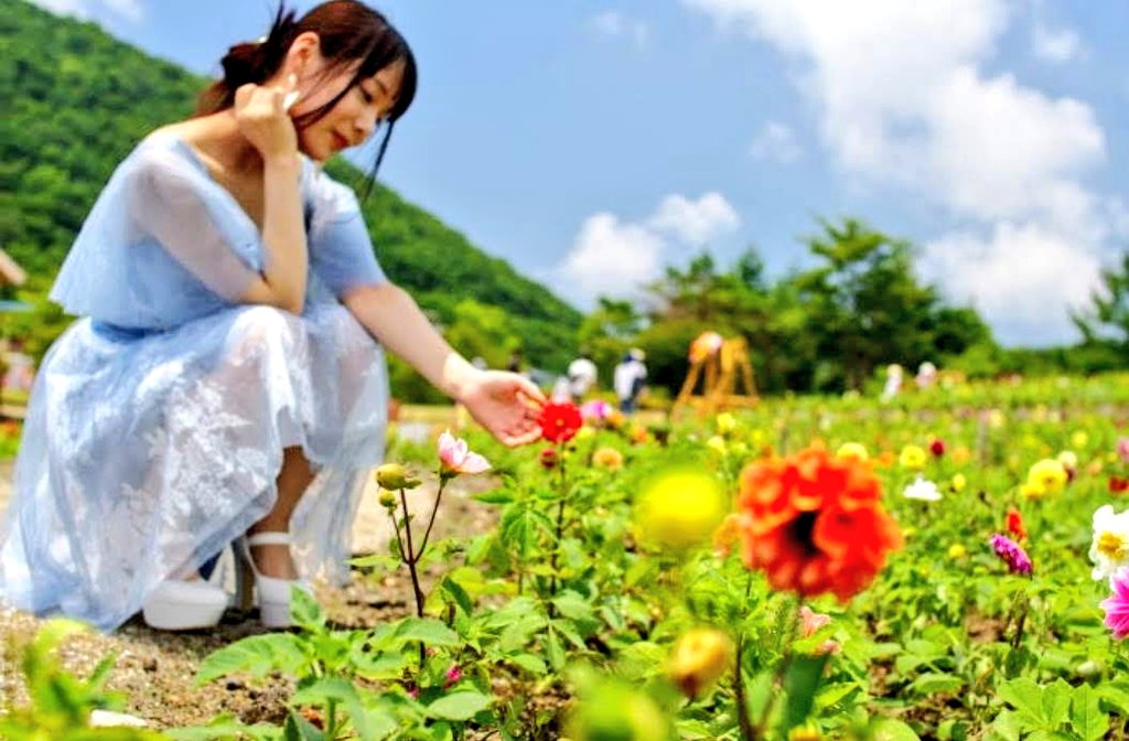 天空のダリア祭り