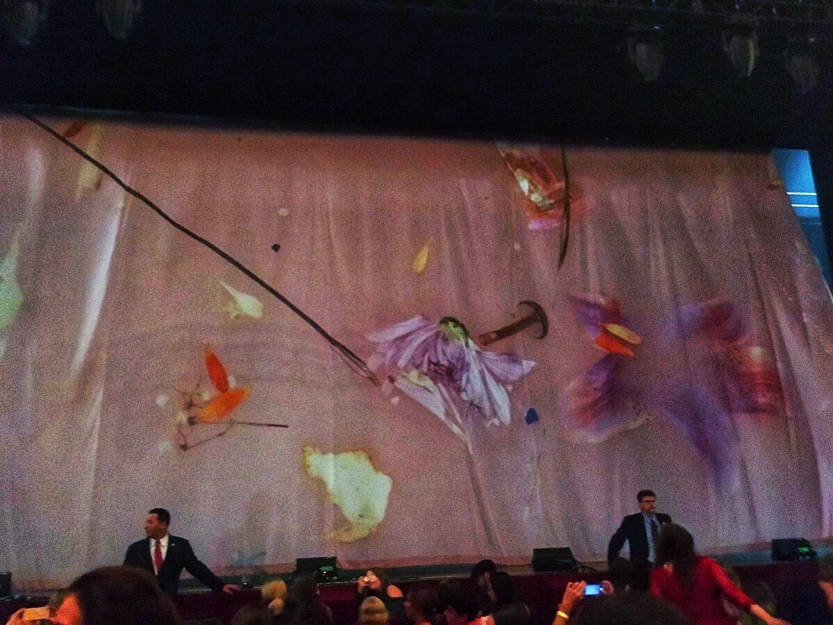 signofhs's tweet photo. appreciation for the dramatic spotlight silhouette and curtain drop intro https://t.co/is0Z4KcdMv