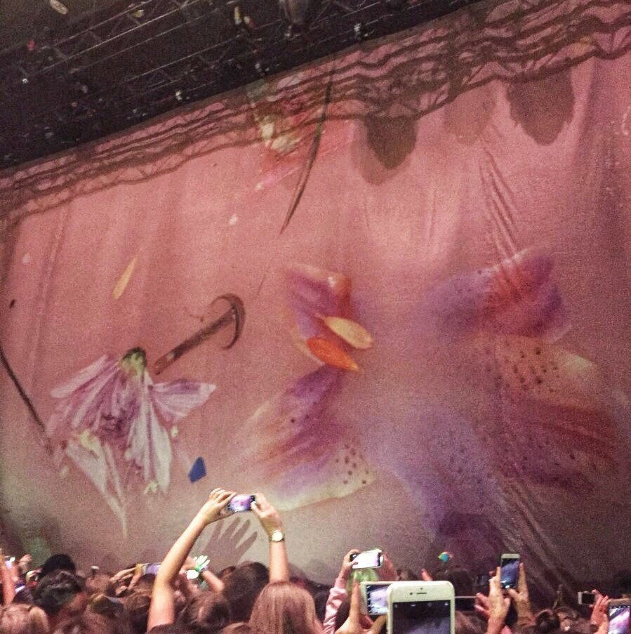 signofhs's tweet photo. appreciation for the dramatic spotlight silhouette and curtain drop intro https://t.co/is0Z4KcdMv