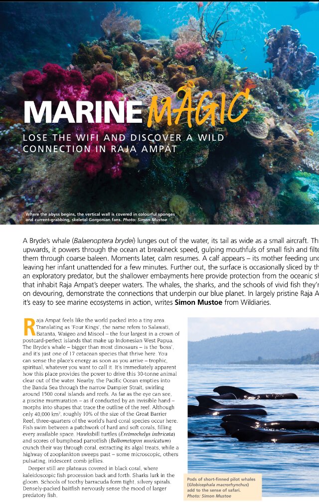 An in depth look from Simon Mustat from @wildiaries into the glorious Raja Ampat Subscribe to <a href="/WildlifeAust/">Wildlife Australia</a> to read all about it wildlife.org.au/magazines/