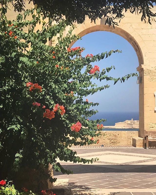 juliafters's tweet photo. Dernière journée à Malte qui s’achève sur une note en bleu blanc rouge magnifique 🇫🇷🏆
•
#juliagotravel #mloat #igerslavalette #lavallette #malte #igersmalta #weekendbreak #citytrip #citybreak #travel #instatravel #travelgram #visitmalta #igerseurope … https://t.co/uOhZ6EqHMe https://t.co/fVIeiKeV9N