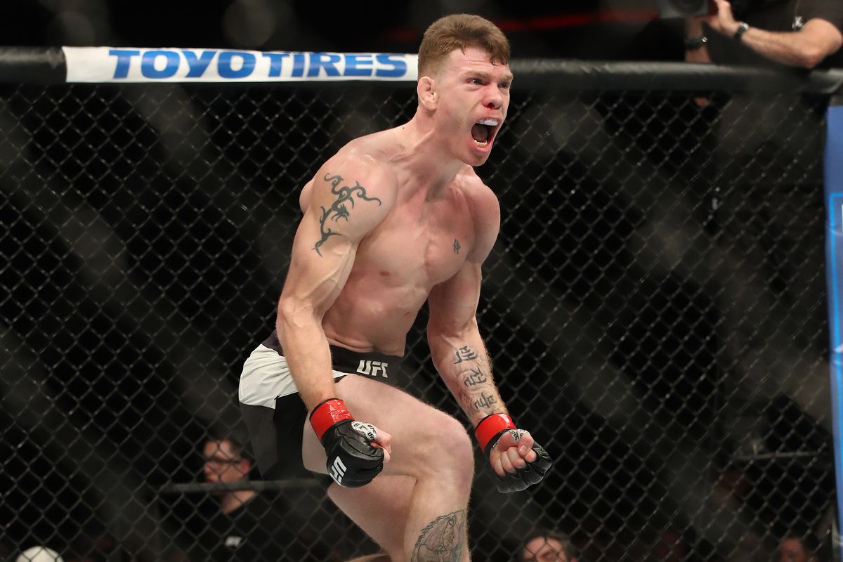 July 16, 2017 1 years ago today, Paul Felder defeated Stevie Ray via KO due to elbows at 3:57 of the 1st round at UFC Fight Night 113. @felderpaul won the Performance of the Night bonus for the win, his second of a three-fight win streak where he knocked out each opponent.