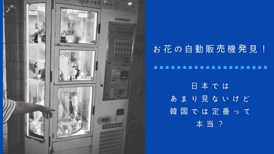 ohananomachi's tweet photo. 「お花の自動販売機発見!日本ではあまり見ないけど韓国では定番って本当? 」
初めて見た💐!!!
#花 #お花の自動販売機 #フローリスト #フラワーデザイナー #フラワーアーティスト #flower #vendingmachine
#flowervendingmachine
https://t.co/he8dlQuDtR https://t.co/kIYcnJ2Se3