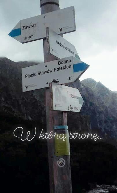 basepas's tweet photo. Dylematy na szlaku 😉@Tatrzanski_PN @PTatrzanski @CzysteTatry https://t.co/DqMqjfXvsY