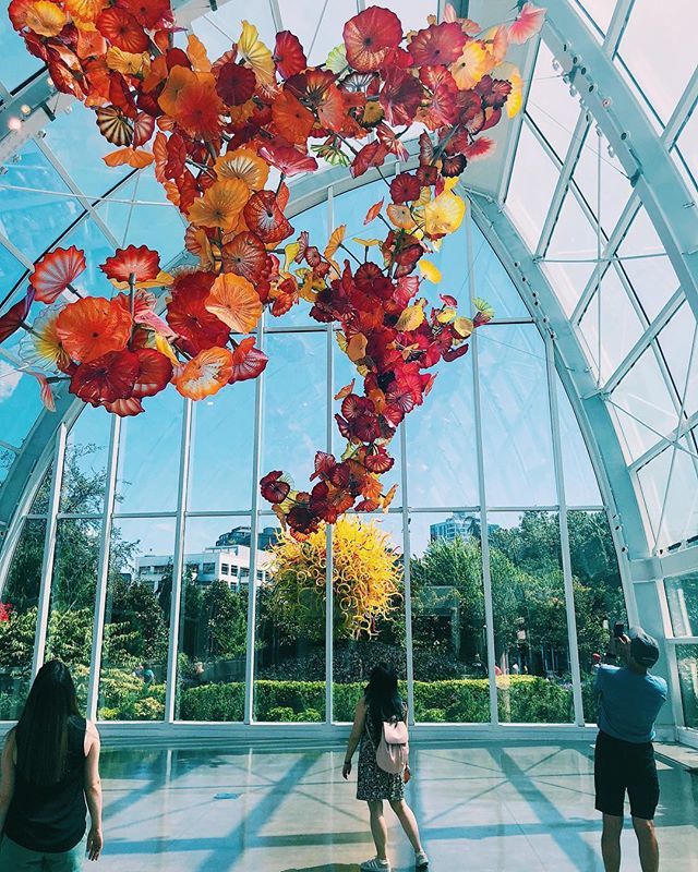 traceofneon's tweet photo. So so incredible. #chihulygardenandglass #glassart #handblownglass #glassflowers #simplymarvelous #chihuly #seattleart #museumlover #weekendinseattle #artlover #sundayadventures #mindblown #wonderspaces https://t.co/0GqOMwV0YS https://t.co/aTIjkfXEuz
