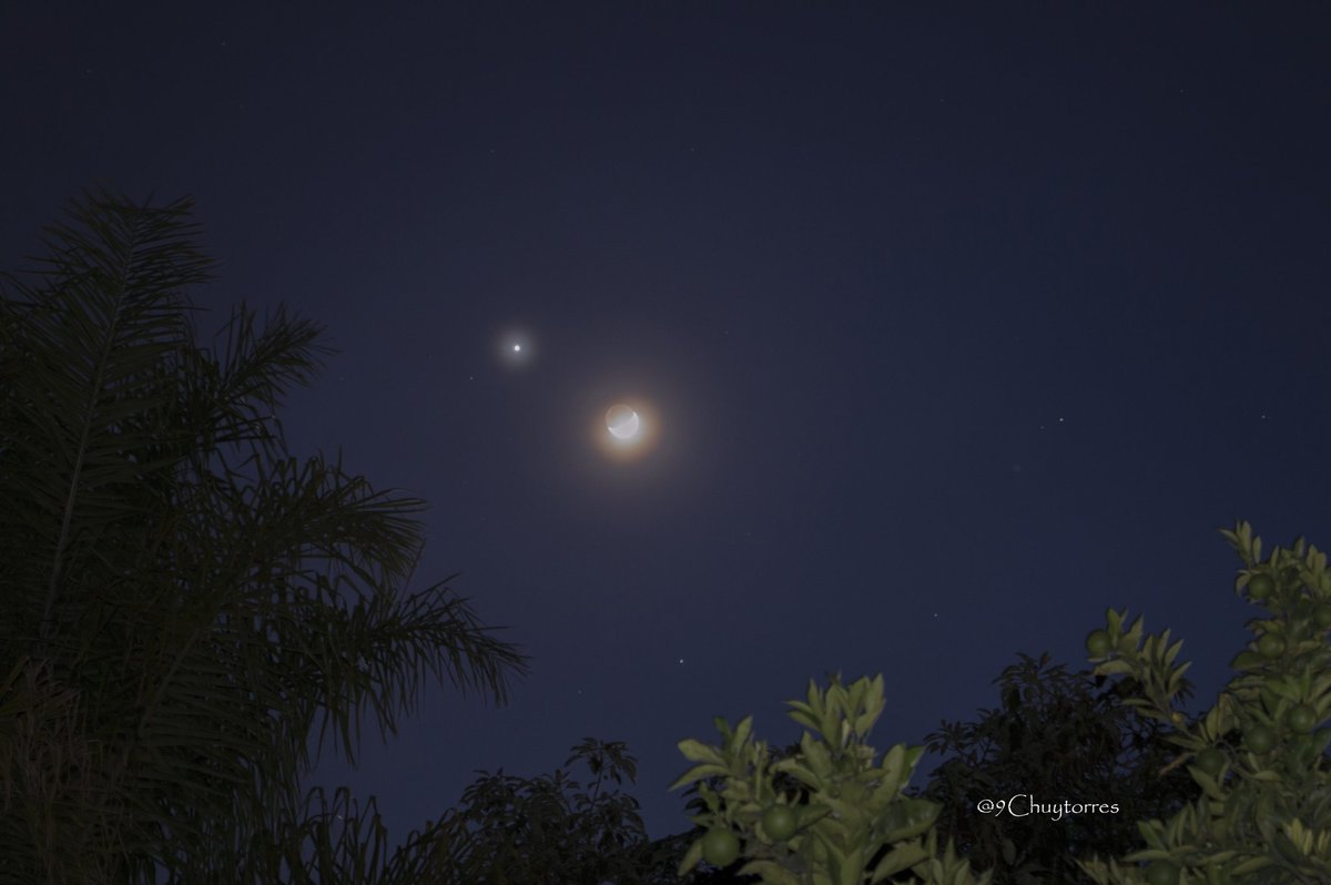 Webcams de México tweet media