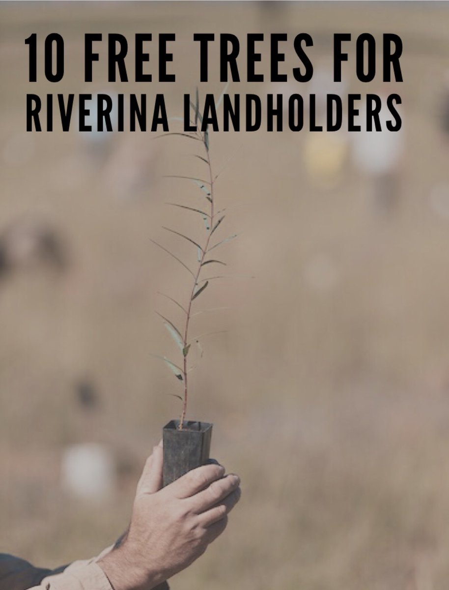 If you’re a farmer in the <a href="/LLSRiverina/">Riverina LLS</a> region pop in to our #Gundagai #Griffith #Hay #Narrandera #Wagga or #Young offices from July 23-27 to pick up 10 free trees! Lots of tubestock suitable to the region is available 🌱🍃 #nationaltreeday
