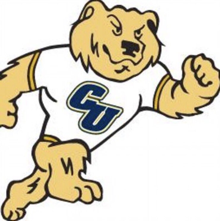 Excited to announce my commitment to further my education and baseball career at The University of Concordia St. Paul! #GoBears