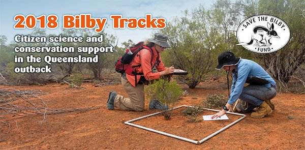 Save The Bilby Fund tweet media