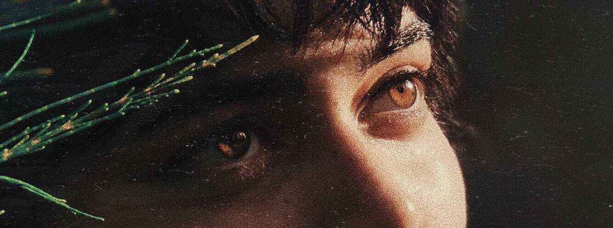 AchoPichea's tweet image. The eyes, chico they never lie. 
Una de mis fotos favoritas. #ShotOniPhone #Iphone7 #PuertoRico