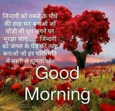 Pramukh chaudhary (@pramukhchaudha5) on Twitter photo 