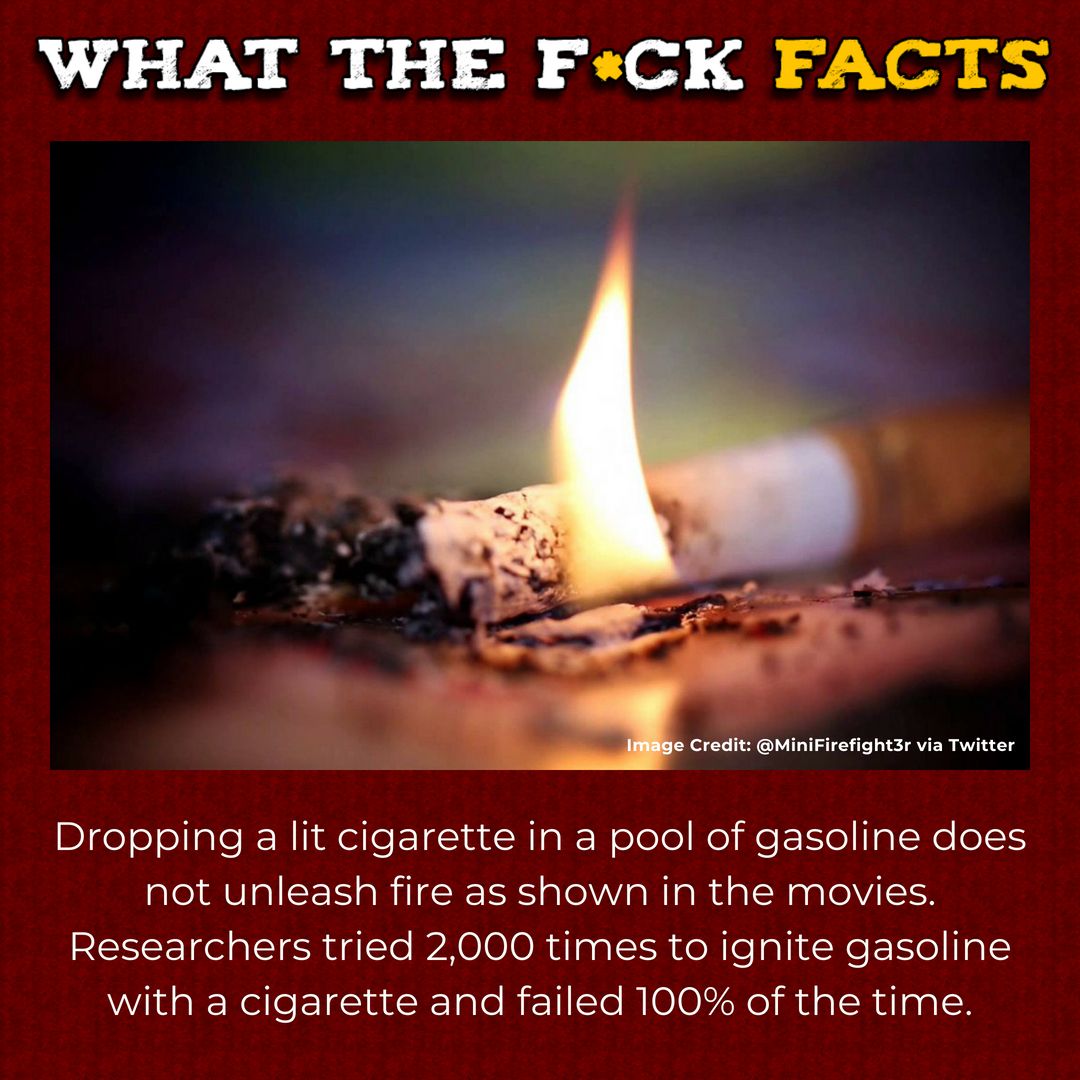 can a cigarette ignite petrol What The F*** Facts (@WhatTheFFacts) on X