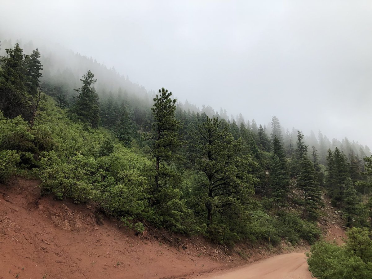 cole_uhlig's tweet photo. Rainy days in the mountains ⛰ https://t.co/tLNTKCDh1s