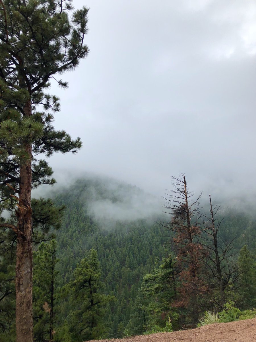 cole_uhlig's tweet photo. Rainy days in the mountains ⛰ https://t.co/tLNTKCDh1s