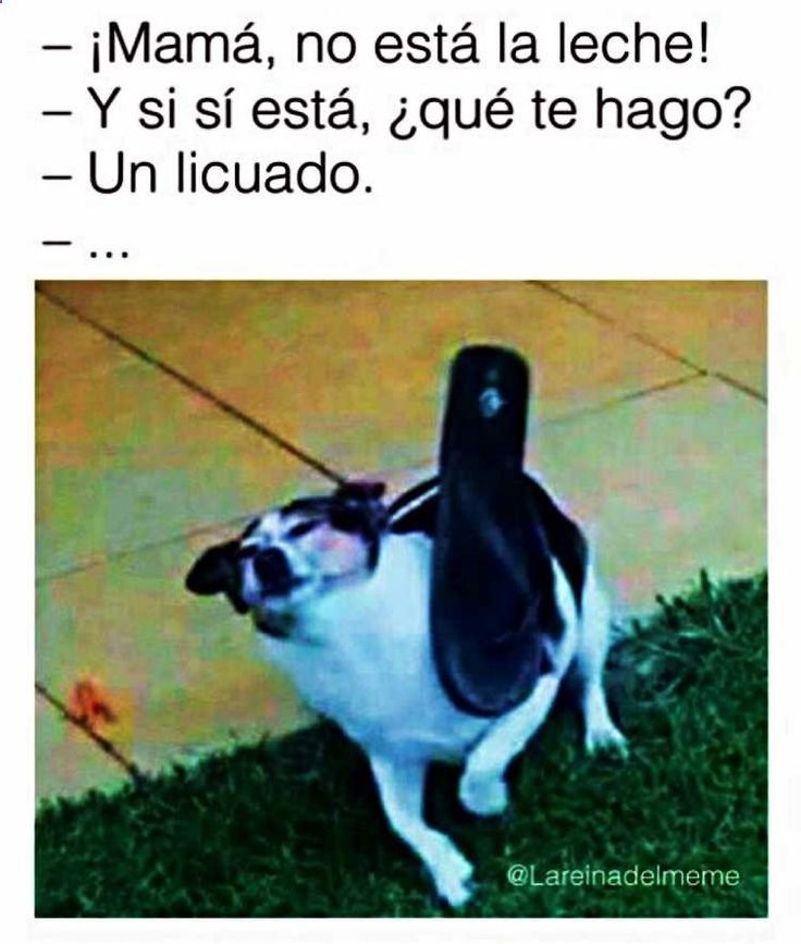 viral_total's tweet photo. ✷✷✷✷✷ Ríe sin parar con memes divertidos y graciosos, memes en es https://t.co/LmblryMWwQ #viral, #humor, #videos https://t.co/MPzjG7Rc96