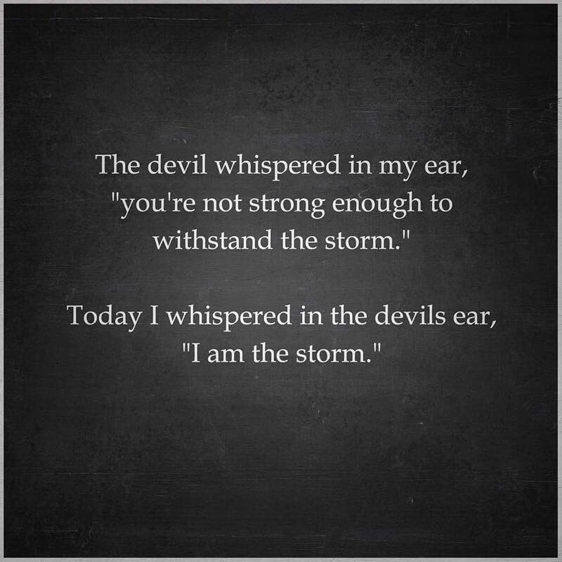 Lou Riolo tweet media