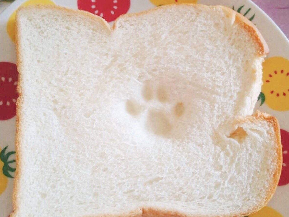 綺麗な指してたんだね 綺麗な指してたんだね